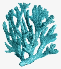 Turquoise,tree,coral - Transparent Coral Reef Png, Png Download, Transparent PNG