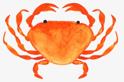 Freckled-crab, HD Png Download, Transparent PNG