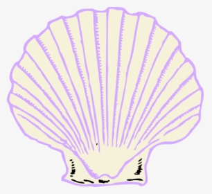 Purple Shell Clipart Png, Transparent Png, Transparent PNG