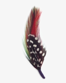 Headpiece, HD Png Download, Transparent PNG