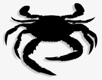 Crab Png Drawing - Freshwater Crab, Transparent Png, Transparent PNG