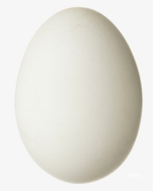 Eggs Png Image - Circle, Transparent Png, Transparent PNG