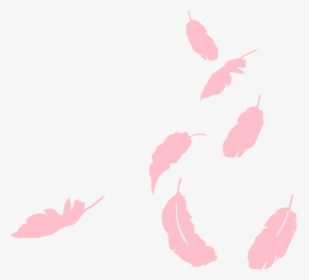 Falling Pink Feathers Png, Transparent Png, Transparent PNG