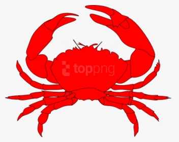 Red Crab Clipart, HD Png Download, Transparent PNG