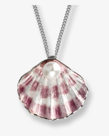 Nicole Barr Purple Shell - Shell Necklace Transparent Background, HD Png Download, Transparent PNG