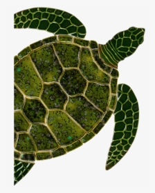 Sea Turtle Art Clipart Sea Turtle Tortoise - Sea Turtle Ceramics, HD Png Download, Transparent PNG