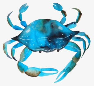 Blue Crab Png - Transparent Blue Crab Png, Png Download, Transparent PNG