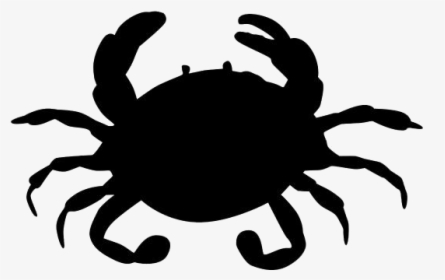 Cotton Crab Png Transparent Images - Freshwater Crab, Png Download, Transparent PNG