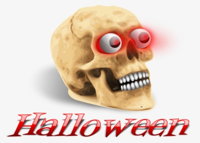 Head,skeleton,skull - Human Skull, HD Png Download, Transparent PNG
