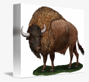 Twin Drawing Bison - Ancient Bison, HD Png Download, Transparent PNG