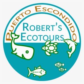 Ecotours Puerto Escondido - Circle, HD Png Download, Transparent PNG