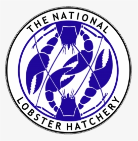 National Lobster Hatchery Logo, HD Png Download, Transparent PNG