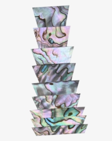 Australian Mother Of Pearl Co - Vase, HD Png Download, Transparent PNG