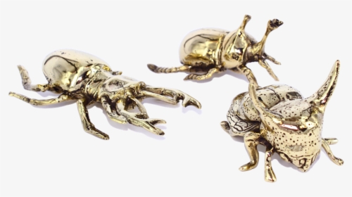 Beetles From $59 - Bee, HD Png Download, Transparent PNG