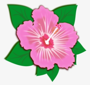 Cartoon Hawaiian Flowers, HD Png Download, Transparent PNG