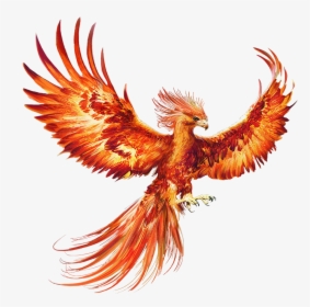 Clip Art Royalty Free Library E Bae F - Phoenix Bird, HD Png Download, Transparent PNG
