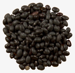 Burrito Black Turtle Bean Food Mrs - Black Coco Beans, HD Png Download, Transparent PNG