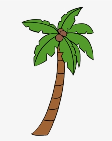 How To Draw A Palm Tree - Cartoon Palm Tree Drawing, HD Png Download, Transparent PNG