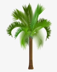 Palm Tree Clip Art Png Image, Is Available For Free - Royalty Free Palm Trees, Transparent Png, Transparent PNG
