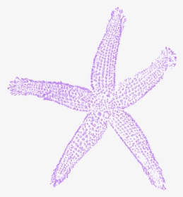 Transparent Purple Shell Clipart - Navy Blue Starfish Clipart, HD Png Download, Transparent PNG