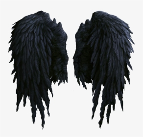 Black Wings Png Image - Realistic Black Angel Wings Png, Transparent Png, Transparent PNG