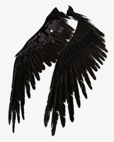 Transparent Eagle Wings Spread Clipart Black And White - Black Angel Wings Png, Png Download, Transparent PNG