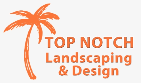 Orange Palm Tree Logo Text, HD Png Download, Transparent PNG