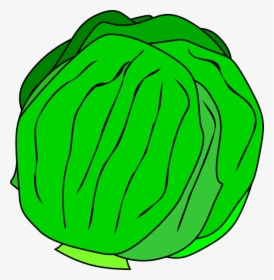 Whole Lettuce Svg Clip Arts - Lettuce Clip Art, HD Png Download, Transparent PNG