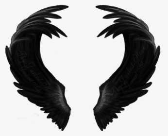 #black #wings #freetoedit - Angel Black Wing Art, HD Png Download, Transparent PNG