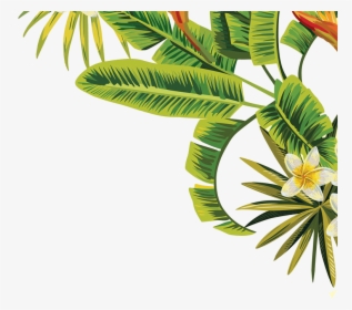 Plant Leaves, Tree Leaves, Tropical, Seeds, Plants, - Tropical Palm Leaves Png, Transparent Png, Transparent PNG