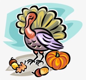 Vector Illustration Of Fall Or Autumn Harvest Pumpkin, - Turkey, HD Png Download, Transparent PNG