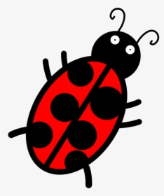 Ladybug, Bug, Wildlife, Micro, Drowning, Cartoon - Ladybug, HD Png Download, Transparent PNG