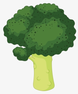 Lettuce Clipart Broccoli - Cute Broccoli Clipart Transparent Background, HD Png Download, Transparent PNG