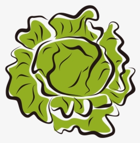 Iceberg Salad Clip Art Royalty Free - Lettuce Clip Art, HD Png Download, Transparent PNG