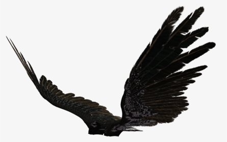 Dark Angel Clipart Transparent - Black Angel Wings Side View, HD Png Download, Transparent PNG