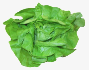 Fresh Lettuce Png Image - Sandwich Lettuce Png, Transparent Png, Transparent PNG