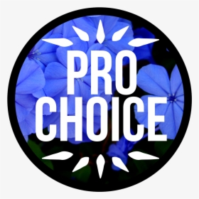 Pro Choice Quotes Tumblr Hd Pro Choice Or No Voice - Pro Choice Png, Transparent Png, Transparent PNG