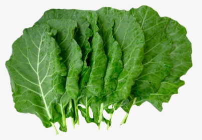 Lettuce Clipart Collard Greens - Collard Greens Png, Transparent Png, Transparent PNG