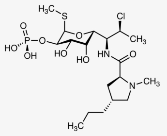 Clindamycin Phosphate - Clindamycin, HD Png Download, Transparent PNG