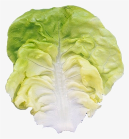 Romaine Lettuce Leaf Vegetable - Iceburg Lettuce, HD Png Download, Transparent PNG