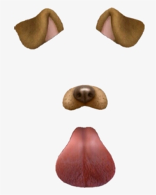 Snapchat Png Tumblr - Snapchat Dog Filter, Transparent Png, Transparent PNG