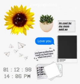 #overlays #editing #instagram #tumblr #icon - Transparent Instagram Edit Overlays, HD Png Download, Transparent PNG
