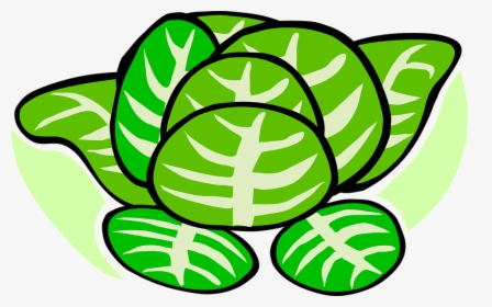 Cabbage, Lettuce, Plant, Vegetables - Cabbage Patch Clip Art, HD Png Download, Transparent PNG