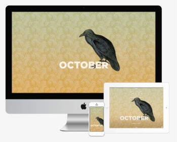 Wallpapers-october - Marabou Stork, HD Png Download, Transparent PNG