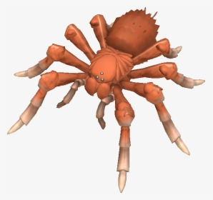 Wolf Spiders Are Ambush Hunters, And Do Not Build A - Spore Spiders, HD Png Download, Transparent PNG