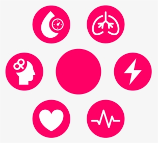 Circle, HD Png Download, Transparent PNG