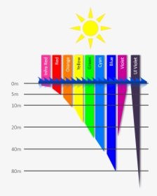 Color Spectrum Png - Colour Loss At Depth, Transparent Png, Transparent PNG