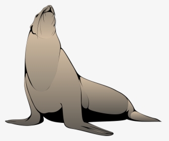 Seal Head Raised - Sea Lion Clipart Png, Transparent Png, Transparent PNG