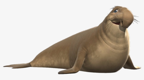 Transparent Elephant Seal Png - California Sea Lion, Png Download, Transparent PNG