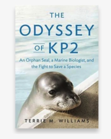 New Book By Ucsc Biologist Highlights Efforts To Save - Steller Sea Lion, HD Png Download, Transparent PNG